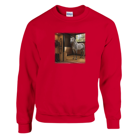 Schimmel in der Box – Pullover