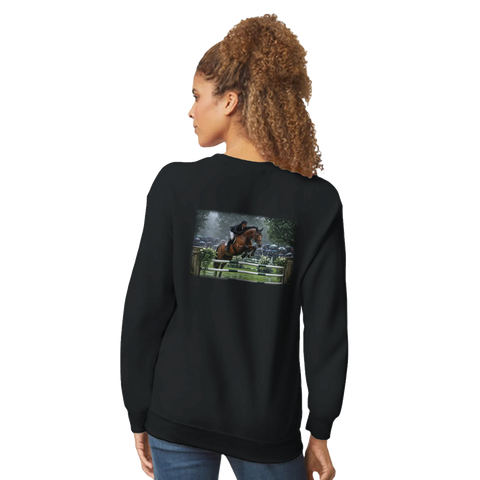 Regenparcours – Pullover mit Rückendruck