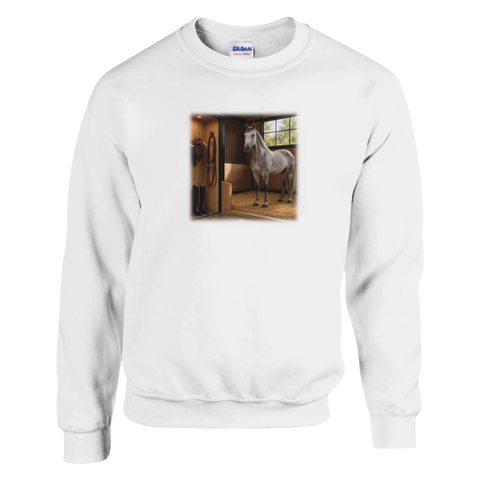 Schimmel in der Box – Pullover