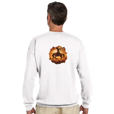 Rodeo mit dem Lasso – Pullover mit Rückendruck