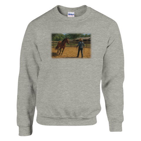 Bodenarbeit auf dem Reitplatz – Pullover