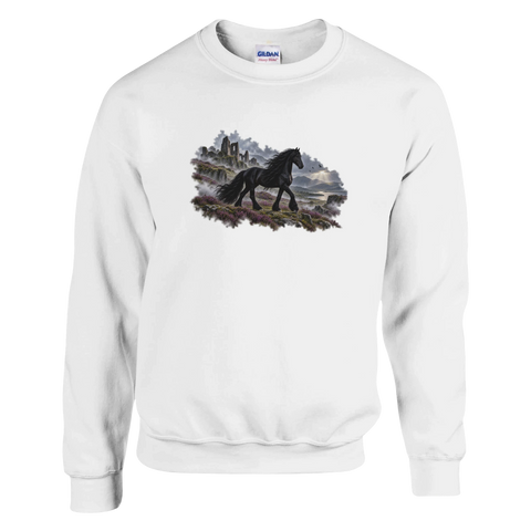 Friese zwischen Nebel und Ruinen – Pullover