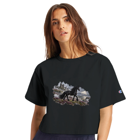 Friese zwischen Nebel und Ruinen – Crop-Top