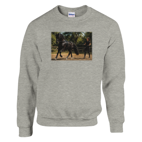 Longieren in voller Bewegung – Pullover