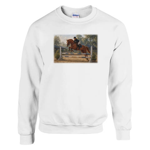 Training auf dem Sandplatz – Pullover