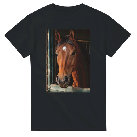 Blick aus der Box – T-Shirt