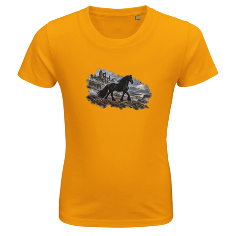 Friese zwischen Nebel und Ruinen – Kinder-T-Shirt Bio