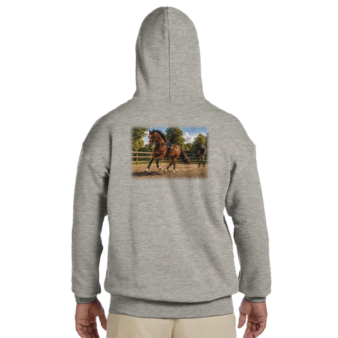 Longenarbeit auf dem Reitplatz – Hoodie mit Rückendruck