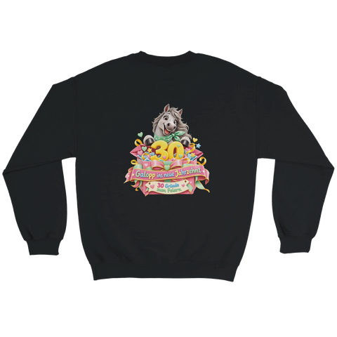 Galopp ins neue Jahrzehnt! – Pullover mit Rückendruck
