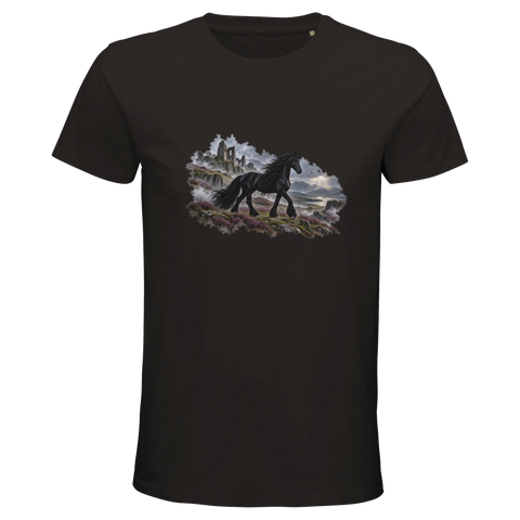Friese zwischen Nebel und Ruinen – Bio-T-Shirt Herren