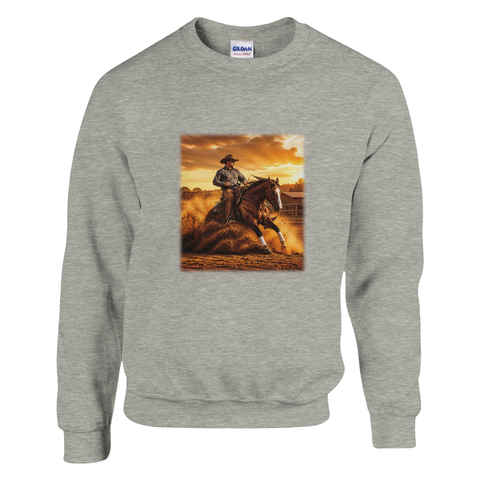 Reining in staubiger Arena – Pullover