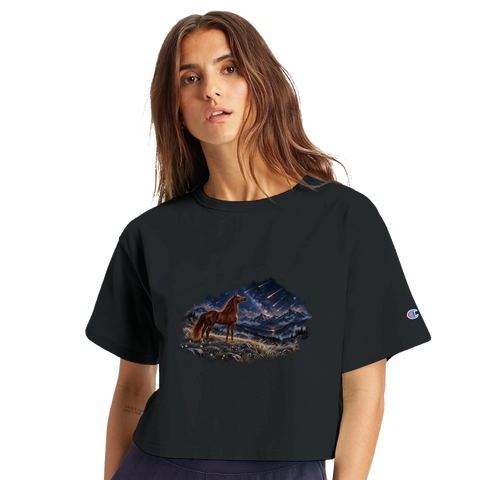 Fuchs unter Sternschnuppen – Crop-Top