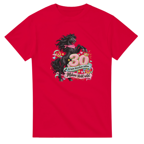 30 und kein bisschen zahm – T-Shirt
