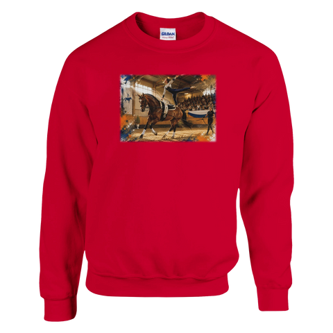 Voltigieren in der Arena – Pullover