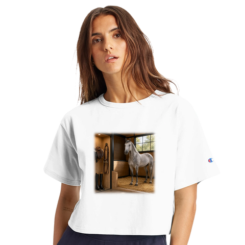 Schimmel in der Box – Crop-Top