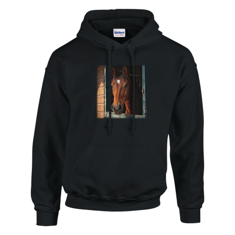 Blick aus der Box – Hoodie
