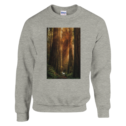 Weißer Geist im Redwoodwald – Pullover
