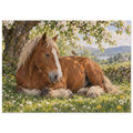 d49c76ac-405b-4583-af75-75facffbb878