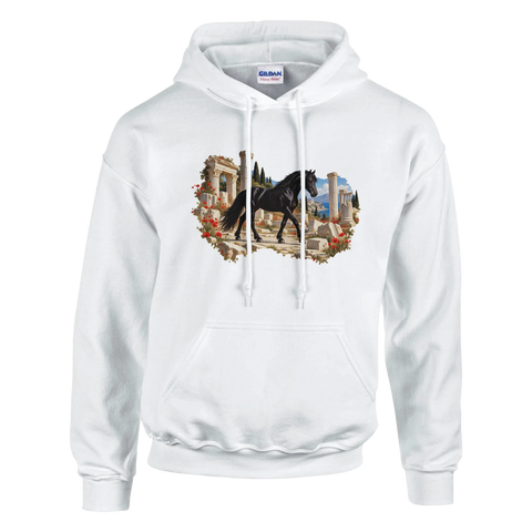 Rappe zwischen römischen Säulen – Hoodie