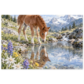 dc128451-0d81-4ff6-9697-14b446aa4270