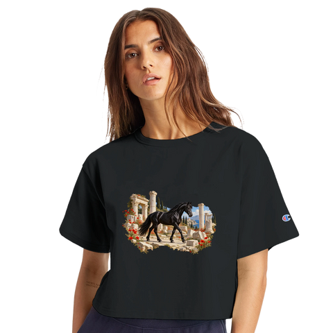 Rappe zwischen römischen Säulen – Crop-Top