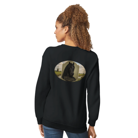 Friese – Pullover mit Rückendruck