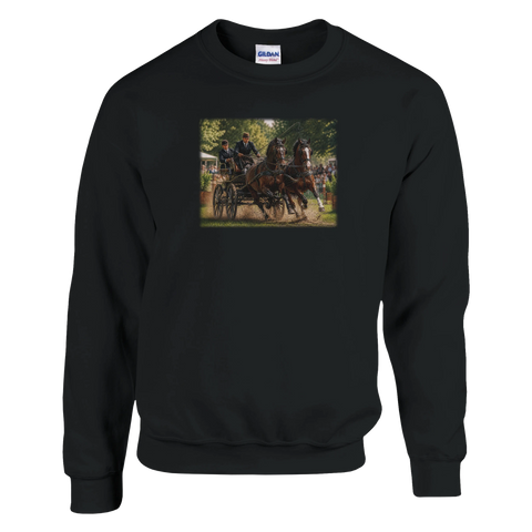 Zweispänner im Marathon – Pullover