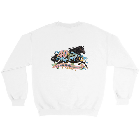 40 und voll im Galopp – Pullover mit Rückendruck
