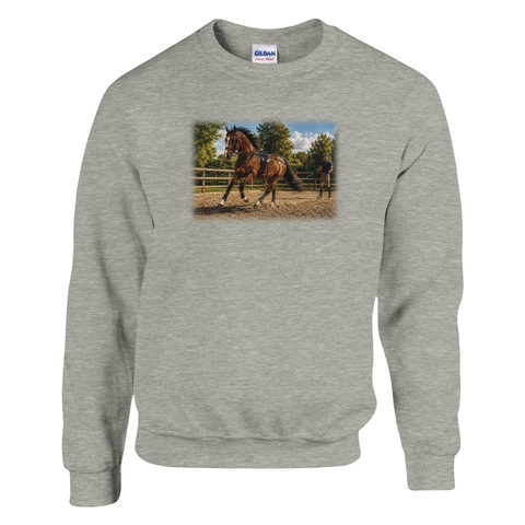Longenarbeit auf dem Reitplatz – Pullover