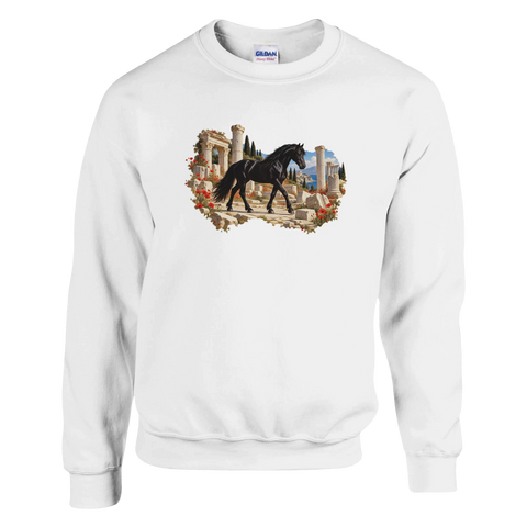 Rappe zwischen römischen Säulen – Pullover