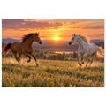 febad077-1685-4edd-8d7b-943afa106f36